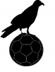 Nasze logo. Wrona na pice.